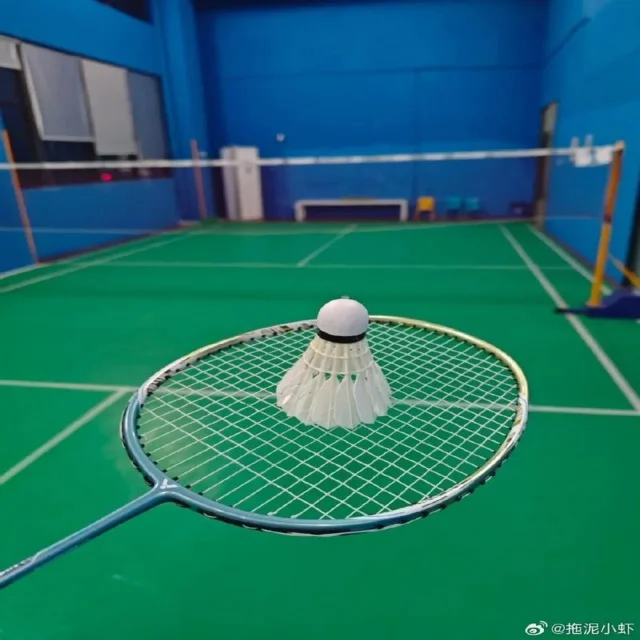 女排队员技术训练瞬间